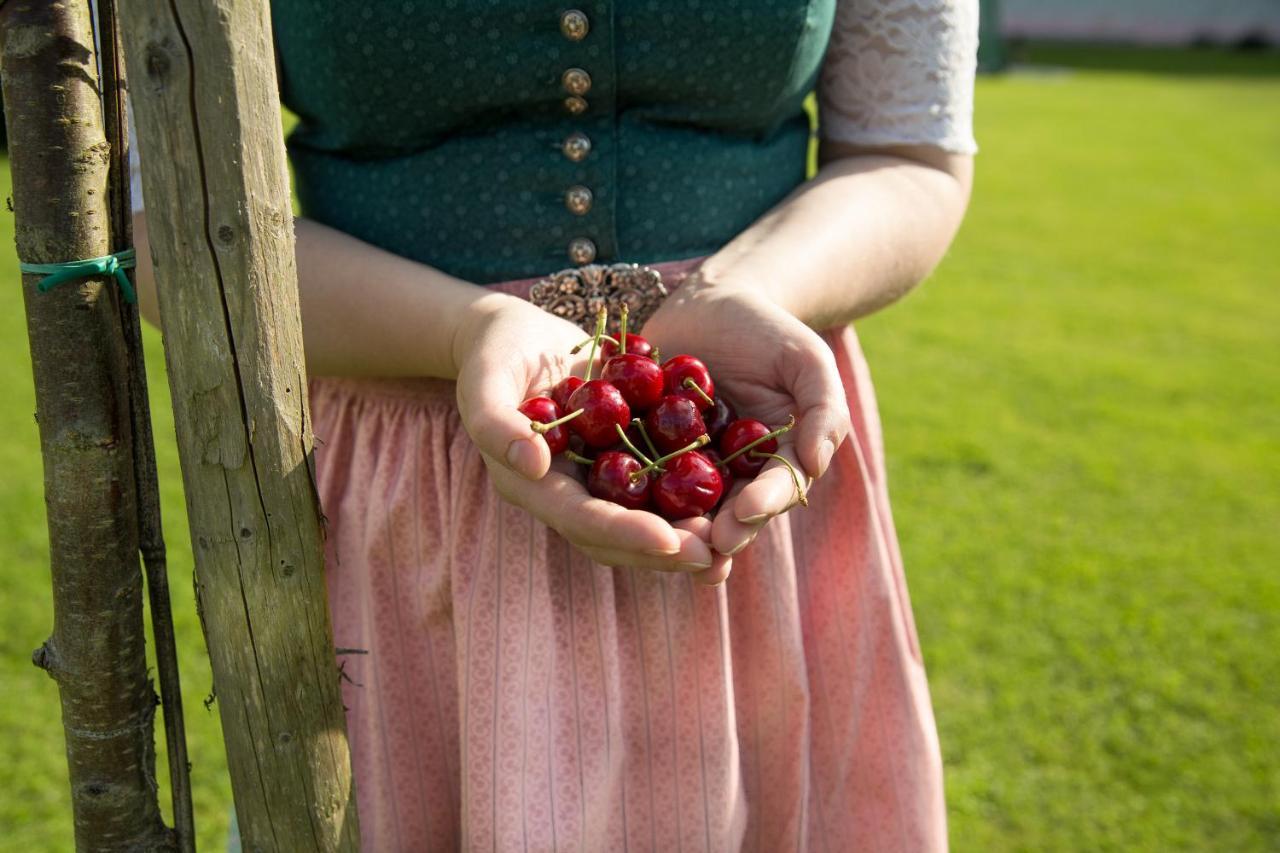 Obstgarten Gaestehaus Hollenstein an der Ybbs Exterior foto